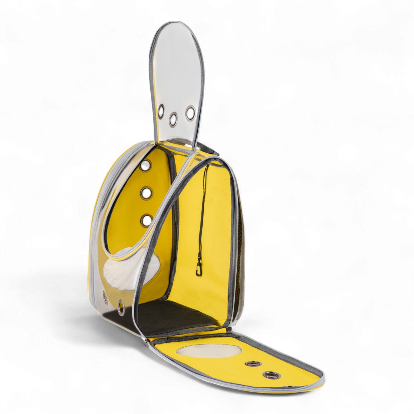 Transparent Pet Carrier