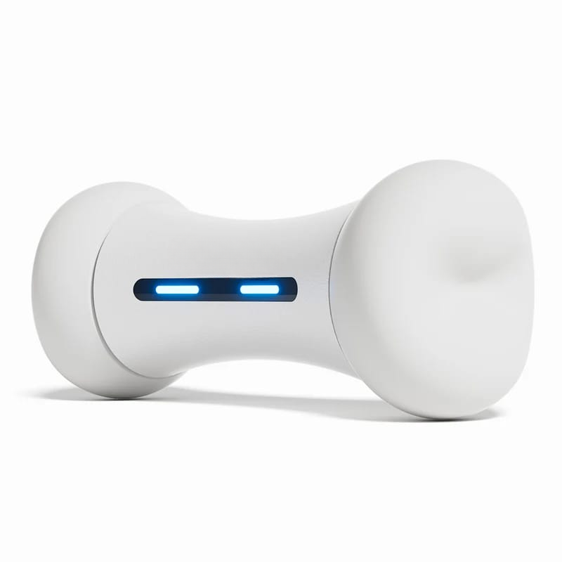 Wickedbone Smart Dog Toy