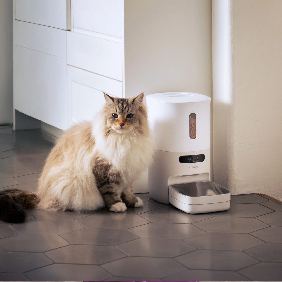 Smart Feeding & Drinking for Your Pets