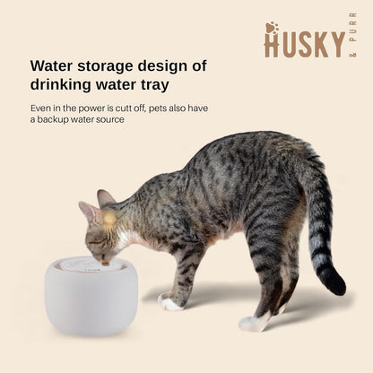 Automatic Pet Water Fountain