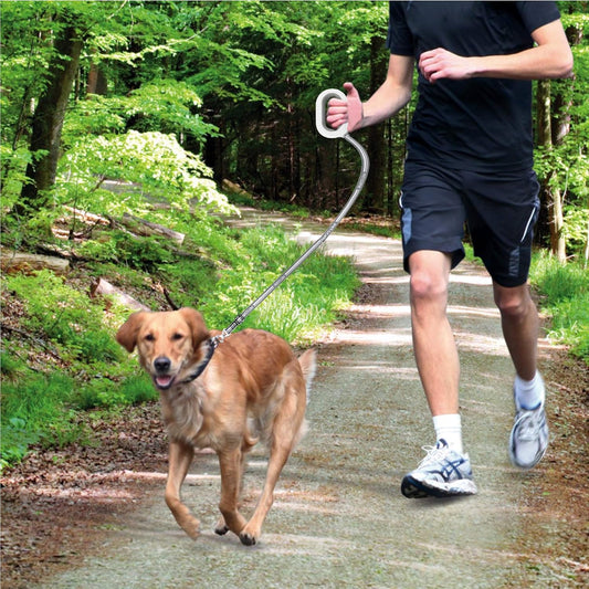 Smart Dog Leash