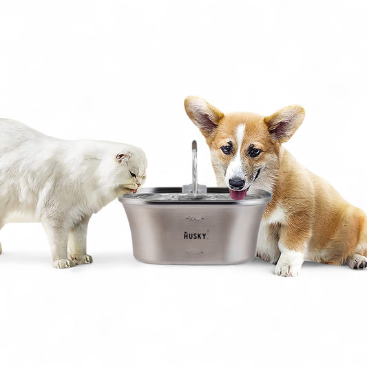 Automatic Stainless Steel Fountain