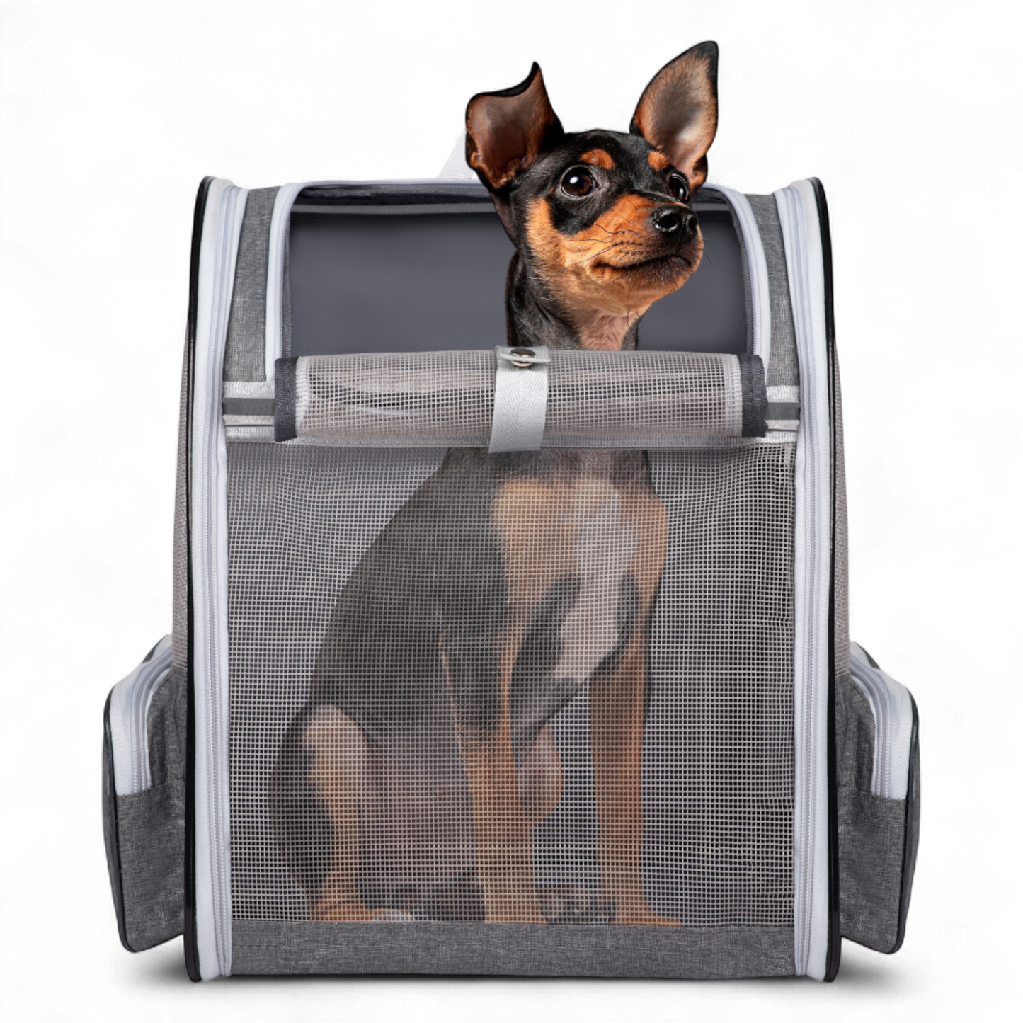 Pet Travel Carrier