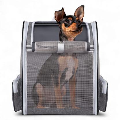 Pet Travel Carrier