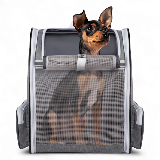 Pet Travel Carrier