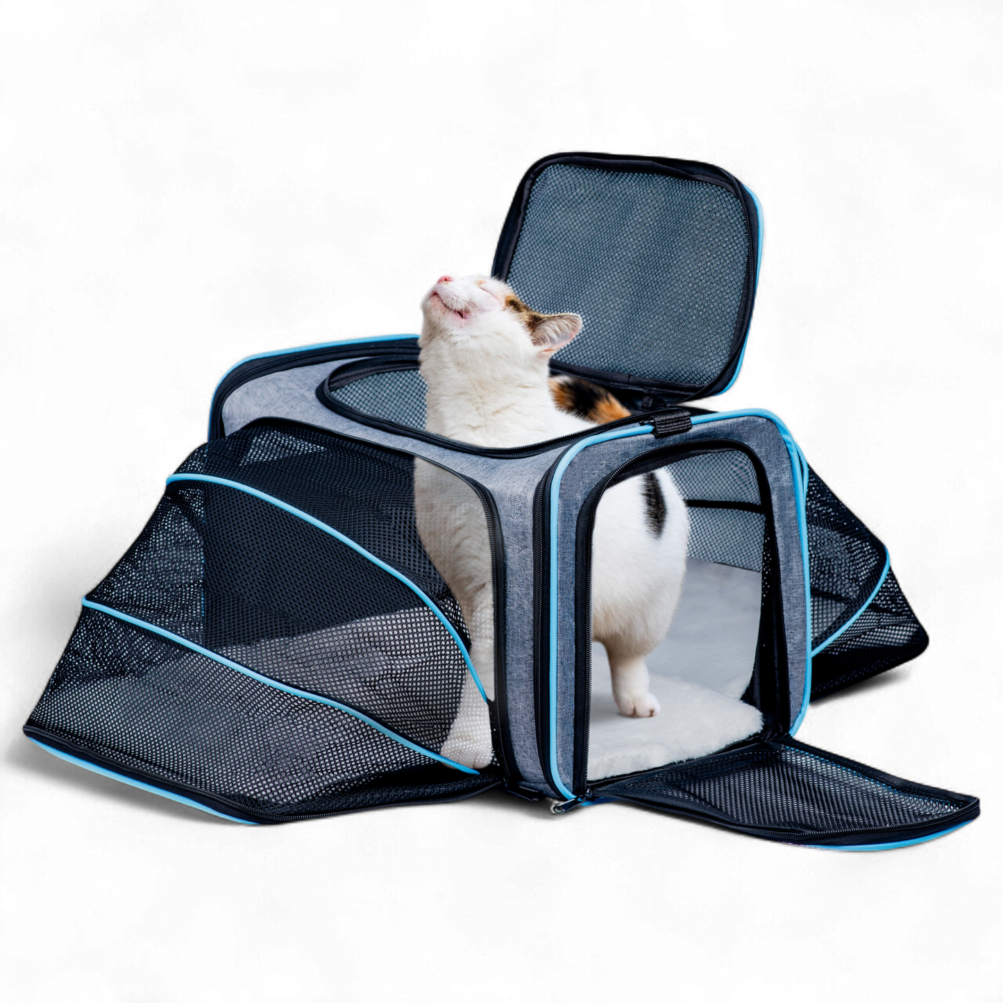 Expandable Pet Carrier Bag