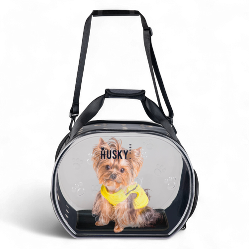 Transparent Pet Carrier