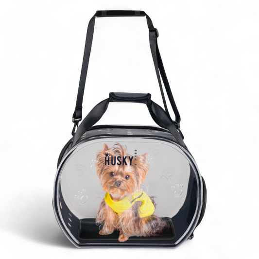 Transparent Pet Carrier