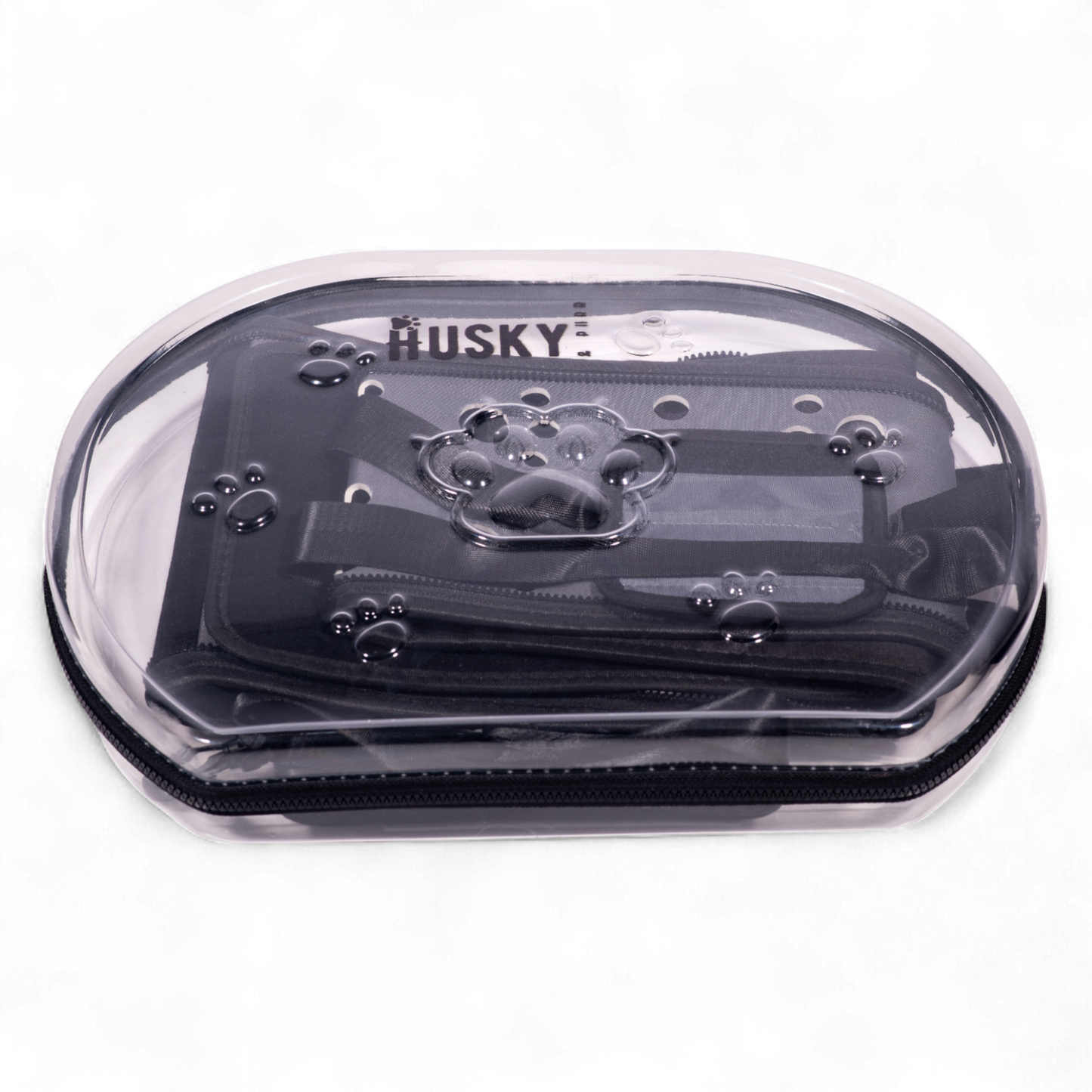 Transparent Pet Carrier