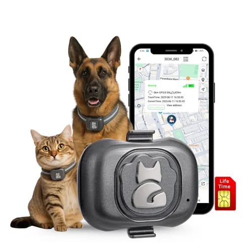 GPS Pet Tracker