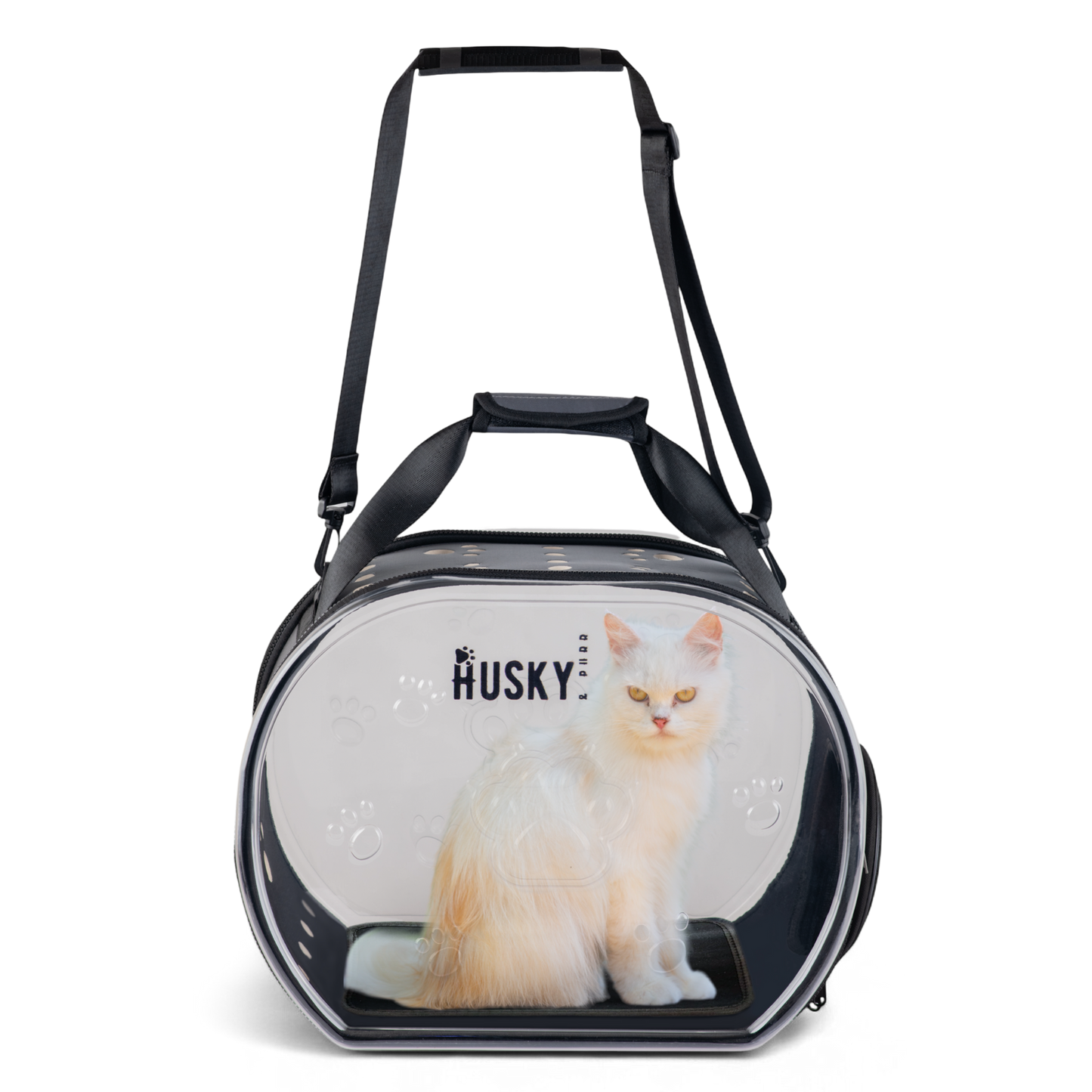 Transparent Pet Carrier