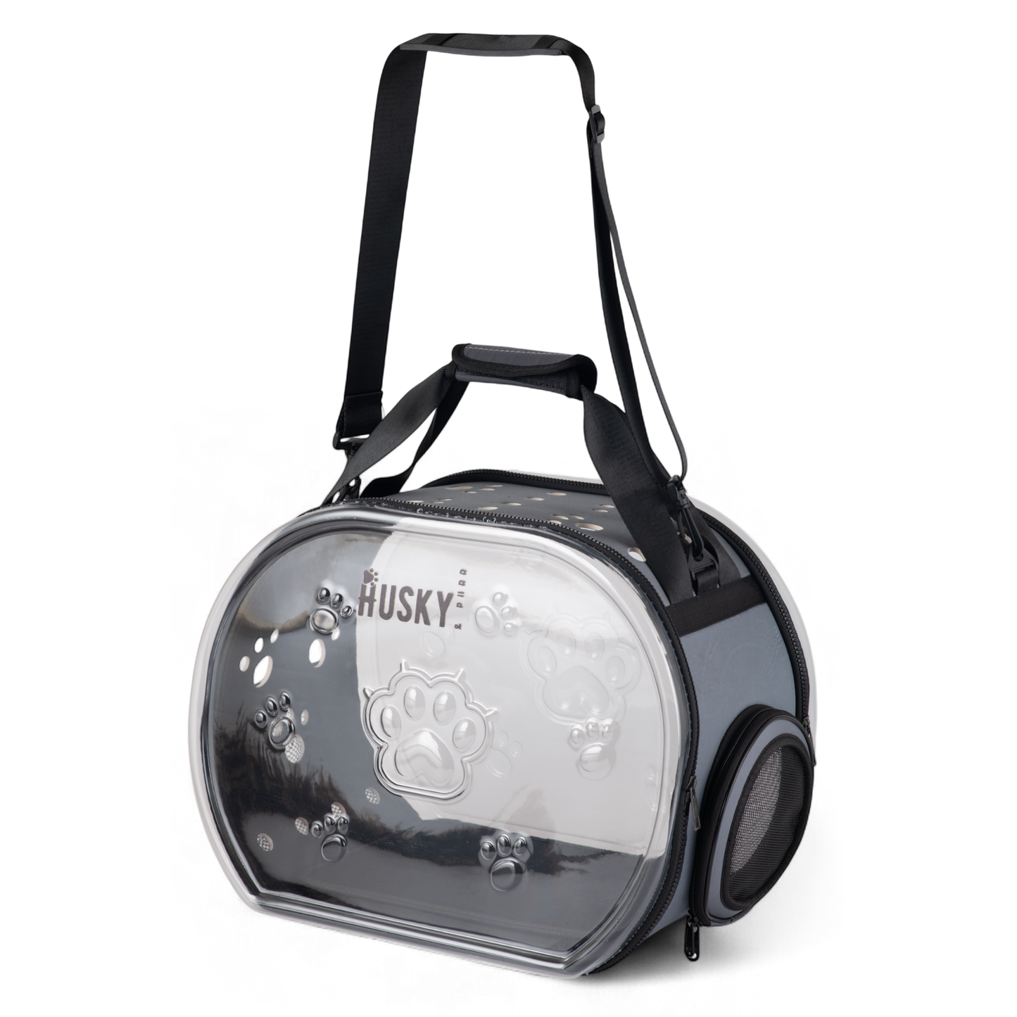 Transparent Pet Carrier