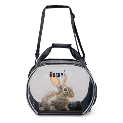 Transparent Pet Carrier