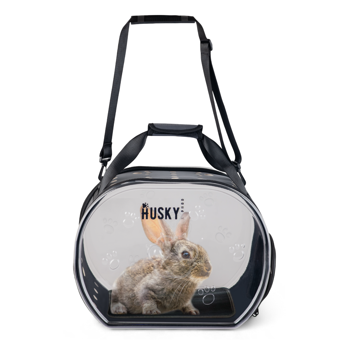 Transparent Pet Carrier