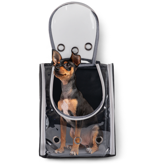 Pet Travel Backpack - Black