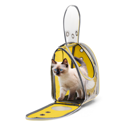 Transparent Pet Carrier