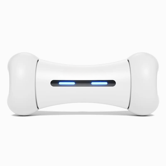 Wickedbone Smart Dog Toy