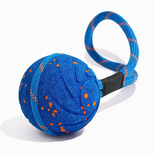 Wicked Ball Air  Interactive Dog Toy